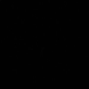 Meet your Posher, Damien